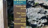 Percorso Marcia Saint-Philippe - La Réunion - Le Piton de la Fournaise depuis le Pas de Bellecombe - Photo 15