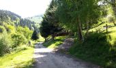 Trail Walking Wasserbourg - Wasserbourg - Photo 4