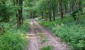 Trail Walking Andelarrot - la craye - Photo 1