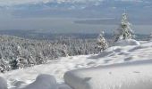 Excursión Deportes de invierno Mijoux -  Piste de la Petite Grand (rouge - 10,5km ) - Photo 4