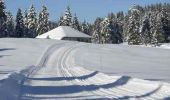 Randonnée Sports d'hiver Mijoux -  Piste de la Petite Grand (rouge - 10,5km ) - Photo 2