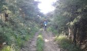 Trail Walking Getaria - JFT YB Étape 26 24-5-2014  - Photo 4