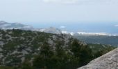 Trail Walking Marseille - le puget par le col de la candelle - Photo 9