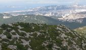 Trail Walking Marseille - le puget par le col de la candelle - Photo 8