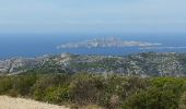 Trail Walking Marseille - le puget par le col de la candelle - Photo 6