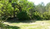 Tocht Stappen Marseille - le puget par le col de la candelle - Photo 1