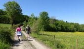 Trail Walking Couvin - Balade au fil de l'Eau Noire à Couvin - Photo 4