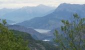 Tour Wandern Venterol - venterol le mont seigneur - Photo 16