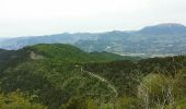 Randonnée Marche Venterol - venterol le mont seigneur - Photo 15