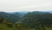 Randonnée Marche Venterol - venterol le mont seigneur - Photo 14