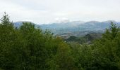 Excursión Senderismo Venterol - venterol le mont seigneur - Photo 20