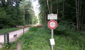Trail Walking Saint-Léger-Triey - rando des etangs 1 - Photo 4