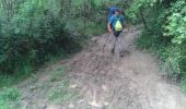 Trail Walking Ziortza-Bolibar - JFT YB Étape 28 26-5-2014  - Photo 16