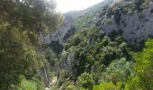 Trail Walking Saint-Paul-de-Fenouillet - Gorges galamus-Nissol_T - Photo 11