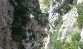 Trail Walking Saint-Paul-de-Fenouillet - Gorges galamus-Nissol_T - Photo 6