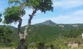 Randonnée V.T.T. Saint-Raphaël - Route des cols - Photo 4