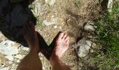 Trail Walking La Bastide - col de Clavel- gorge d'Artuby - Photo 1