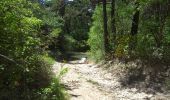 Tocht Stappen La Bastide - col de Clavel- gorge d'Artuby - Photo 2