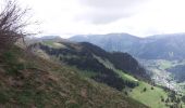 Tour Wandern Châtel - Mont de grange depuis le col de Bassachaux  - Photo 3