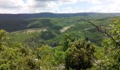 Tocht Stappen Monieux - gorges de l'anesque - Photo 9