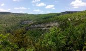 Tour Wandern Monieux - gorges de l'anesque - Photo 7