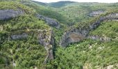 Trail Walking Monieux - gorges de l'anesque - Photo 5