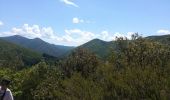 Tocht Stappen Val-d'Aigoual - mont Aigoual - Photo 17