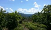 Randonnée Marche Val-d'Aigoual - mont Aigoual - Photo 16