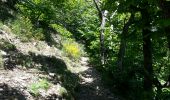 Tour Wandern Val-d'Aigoual - mont Aigoual - Photo 15