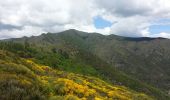 Randonnée Marche Val-d'Aigoual - mont Aigoual - Photo 12