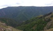 Tocht Stappen Val-d'Aigoual - mont Aigoual - Photo 10