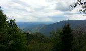 Tour Wandern Val-d'Aigoual - mont Aigoual - Photo 8