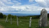 Tour Wandern Val-d'Aigoual - mont Aigoual - Photo 7