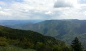 Tour Wandern Val-d'Aigoual - mont Aigoual - Photo 6