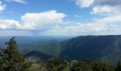 Tour Wandern Val-d'Aigoual - mont Aigoual - Photo 4