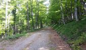 Tour Wandern Val-d'Aigoual - mont Aigoual - Photo 3