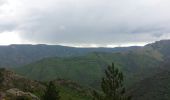 Randonnée Marche Val-d'Aigoual - mont Aigoual - Photo 20