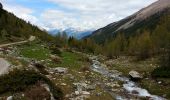 Trail Walking Villar-Saint-Pancrace - Briançonnais Chalets des Ayes - Photo 4