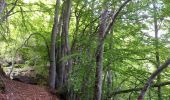 Percorso Marcia La Motte-en-Champsaur - 01-06-14 Chemin de Ronde de Molines - Photo 13