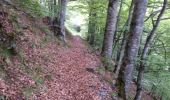 Percorso Marcia La Motte-en-Champsaur - 01-06-14 Chemin de Ronde de Molines - Photo 2