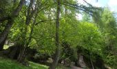 Percorso Marcia La Motte-en-Champsaur - 01-06-14 Chemin de Ronde de Molines - Photo 1