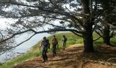Trail Walking Bangor - bangor - Photo 4