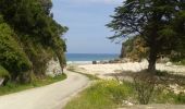 Trail Walking San Vicente de la Barquera - JFT YB étape 35 2-6-2014  - Photo 8