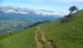 Tour Wandern La Motte-d'Aveillans - les signaraux- le senepy par les pras sterieux - Photo 4