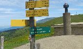 Tour Wandern La Motte-d'Aveillans - les signaraux- le senepy par les pras sterieux - Photo 9