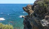 Tocht Stappen Banyuls-sur-Mer - Banyuls-Peyrefite_T - Photo 5