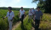 Tour Nordic Walking Jodoigne - 2014-06-06 Jauchelette - Photo 5