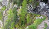 Trail Walking Saint-Michel-en-Beaumont - Valbonnais Cols de Parquetout-d'Hurtieres - Photo 5