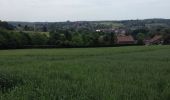 Tour Wandern Beersel - Entre Beersel et Dworp - Photo 5