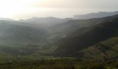 Trail Walking Collioure - Tour Madeloc  8 juin 2014 - Photo 3